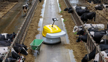 0512ce75-lely-juno-max-viii-kievest-339370-rg.jpg-900x520-q70-crop-smart-subsampling-2-upscale.jpeg