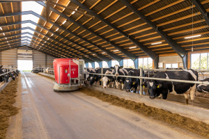 Lely Vector v akci - automatizované krmení krav