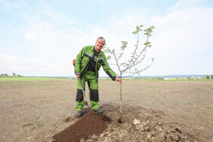 4edf85a6-stromy-foto-david-peltan-0764.jpeg