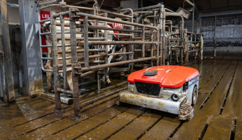 5117bbc4-in-front-of-milking-robot-rg.jpg-900x520-q70-crop-smart-subsampling-2-upscale.jpeg