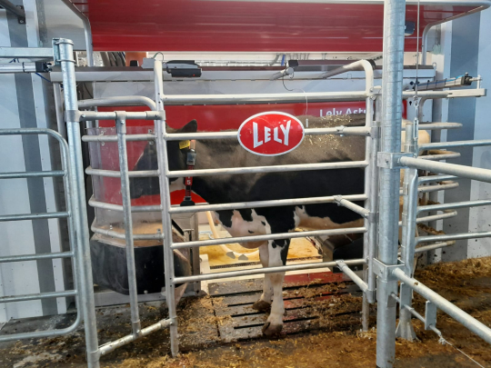 Monitoring chovu skotu