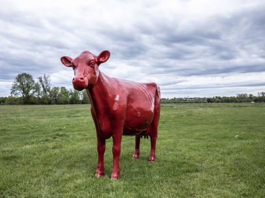 Udržitelné zemědělství