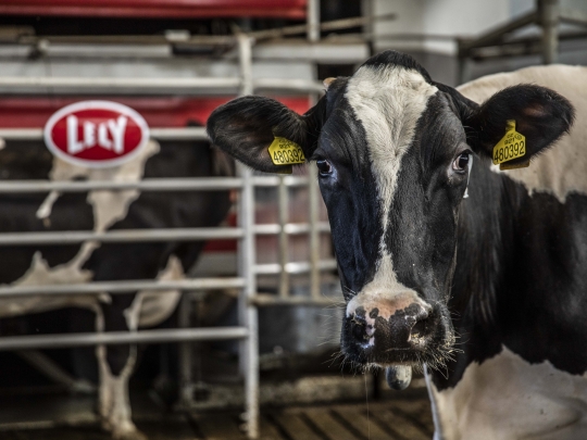 Výsledky Lely za rok 2021