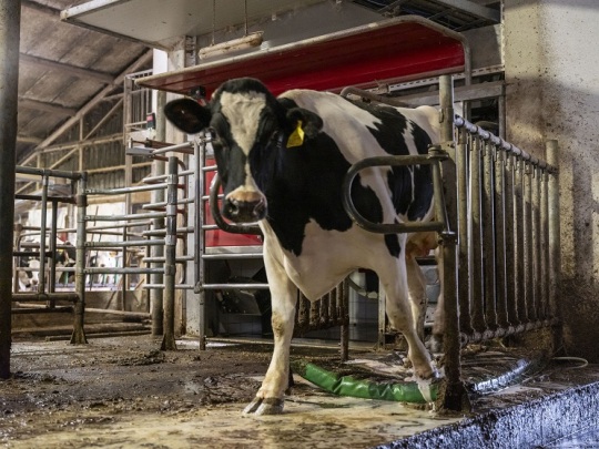 Listopadové číslo časopisu