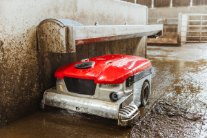 Lely Discovery Collector – z provozu