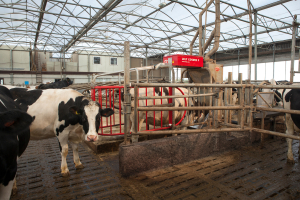 Lely Cosmix