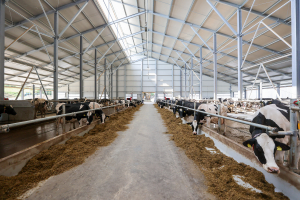 Plachty, světlík a vrata – realizace