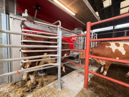 TZK Myslív – robotická stáj