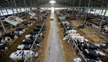9fd3e252-lely-juno-max-viii-kievest-122754-rg.jpg-900x520-q70-crop-smart-subsampling-2-upscale.jpeg