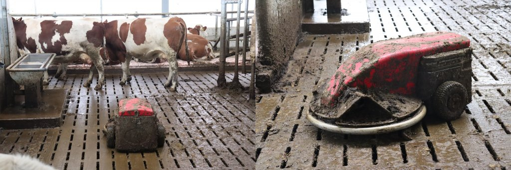 Farma Horáčkových – robotické dojení