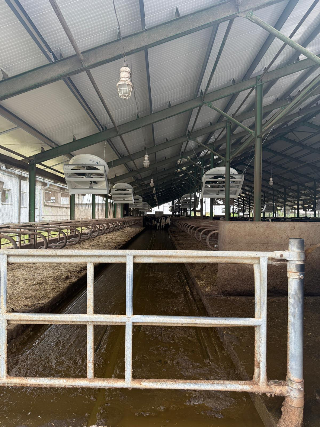 ZD Křižanovsko – stáj a ventilace
