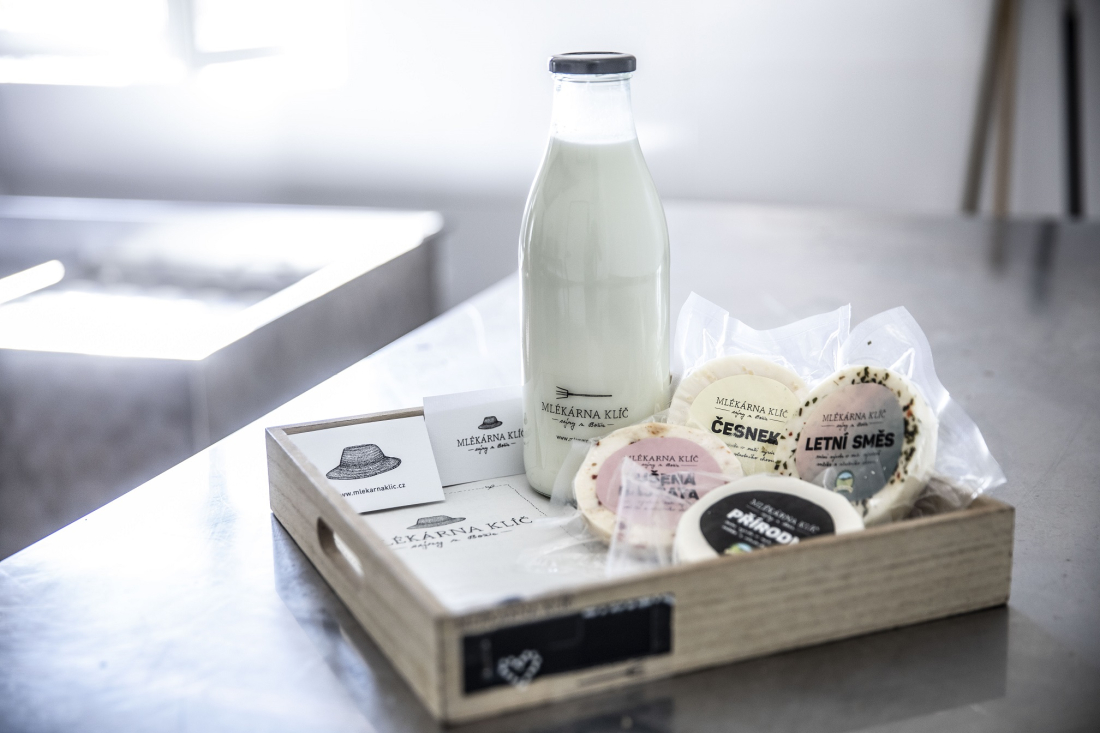 Farma Klíč – chov skotu