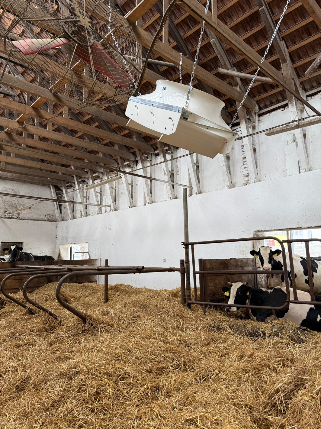 AGROS Vysočina – robotická stáj