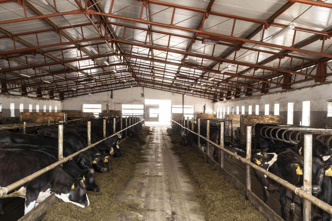 Farma Dobrkov – modernizace farmy