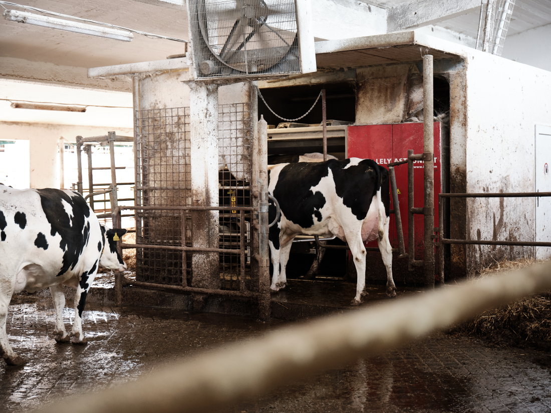 Farma ZD se sídlem ve Sloupnici, Řetová