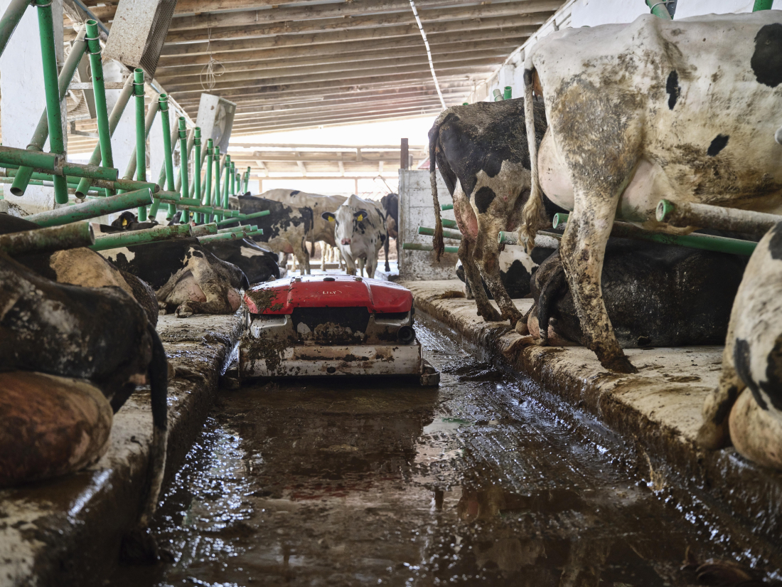 Farma Herot – robotická stáj