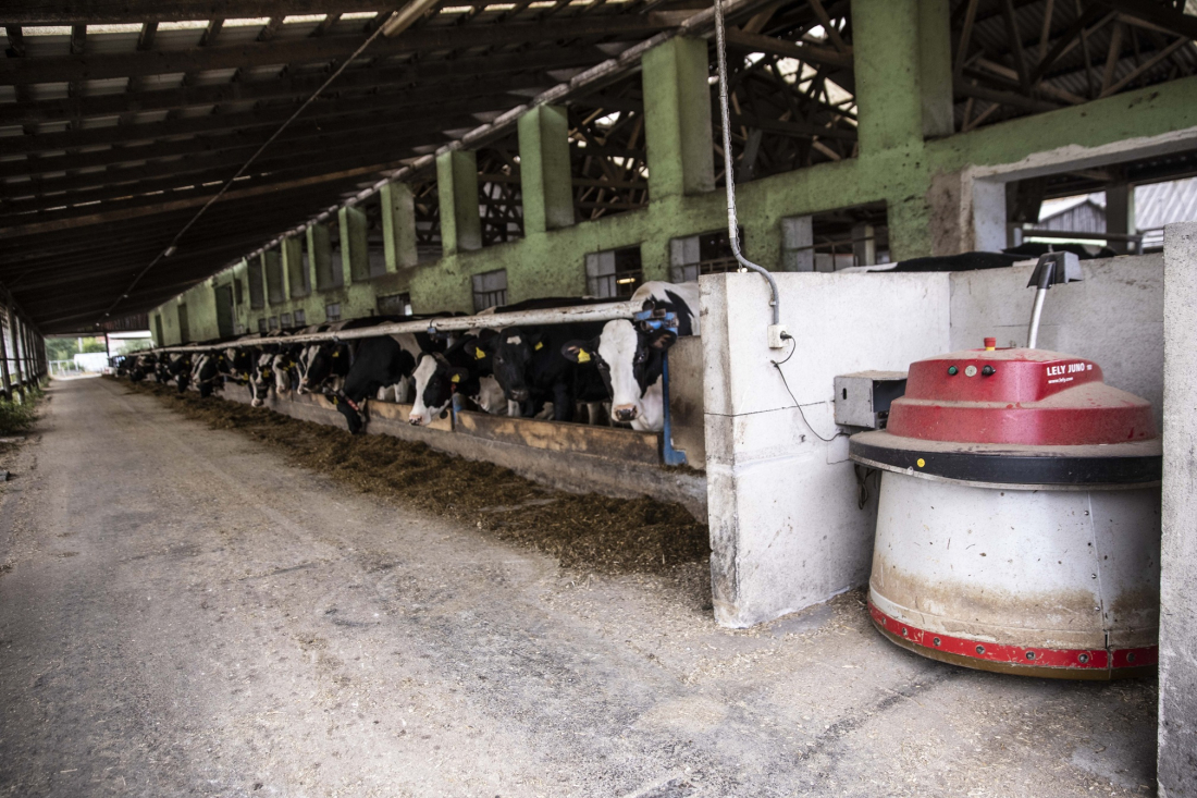 Farma Číhaň – robotická stáj