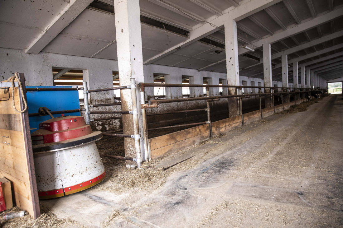 Farma Číhaň – robotická stáj