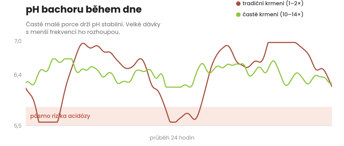 Graf pH bachoru: časté krmení drží stabilní pH, řídké způsobuje výkyvy