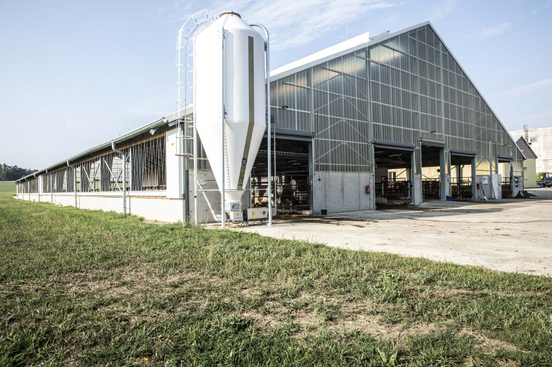 Farma Drhovy – robotické dojení