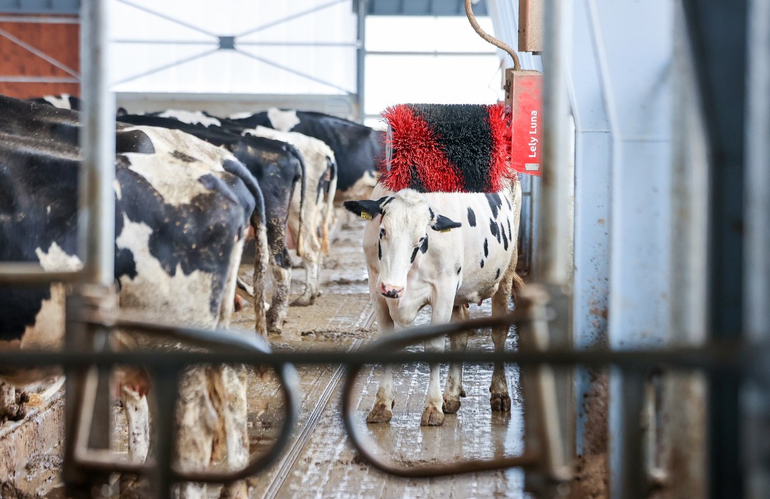 Farma Chvalovice – moderní stáj