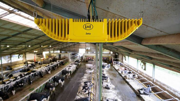 Lely Zeta ve stáji – kamery a monitoring krav