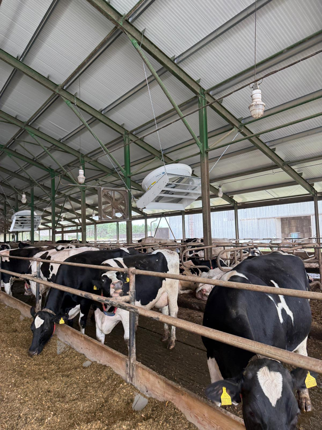 ZD Křižanovsko – stáj a ventilace