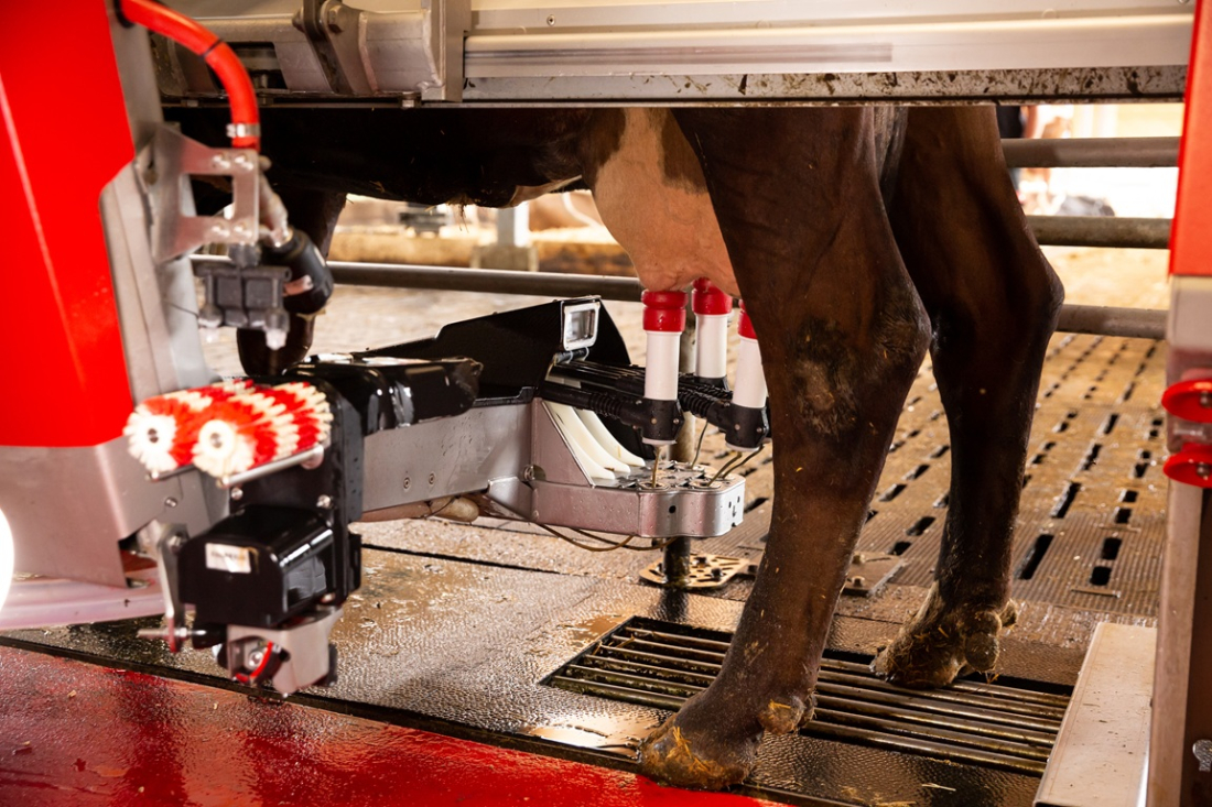 Moderní mléčná farma a automatizace provozu