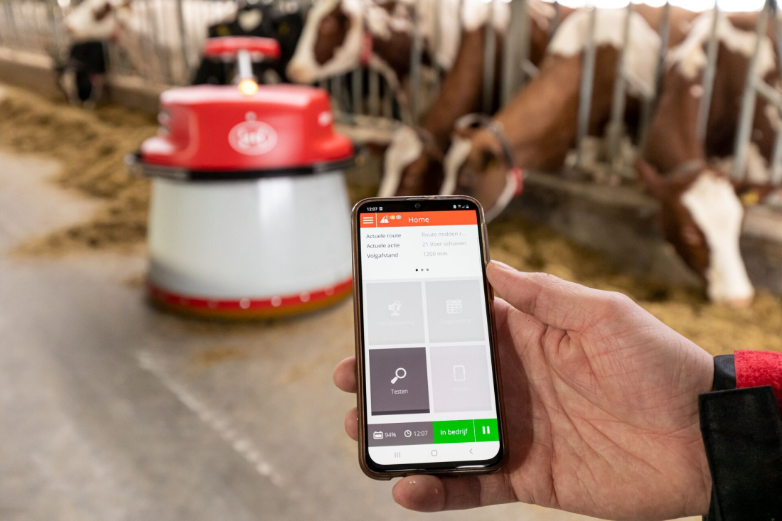Lely Juno automaticky přihrnuje krmivo ke krmnému stolu