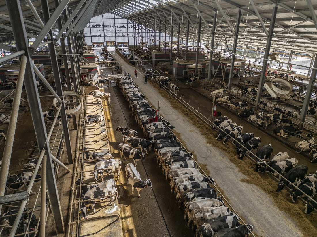 AGRO-partner na farmě