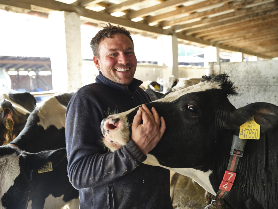 Farma Herot – robotická stáj