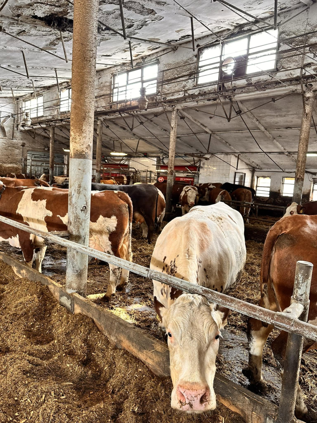 ZVS Nemyšl – farma