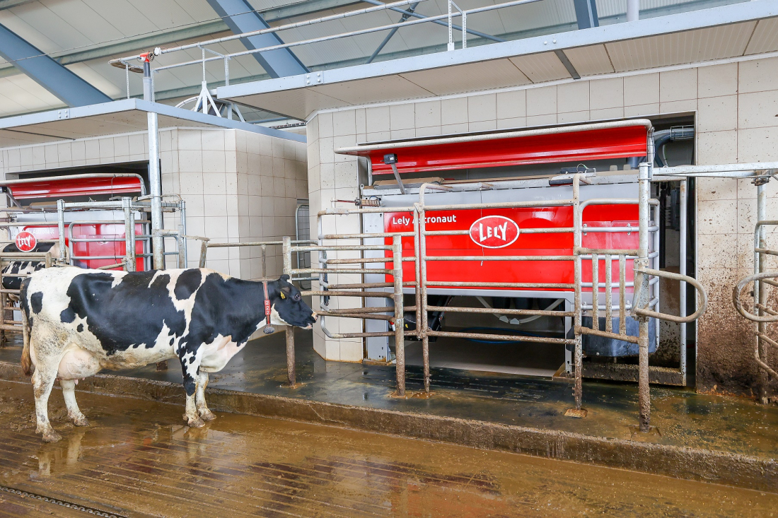 Farma Chvalovice – Lely Astronaut