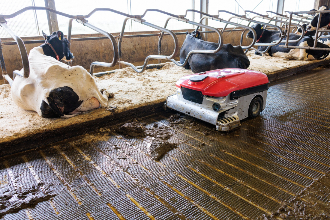 Lely Discovery Collector sbírá kejdu z podlahy stáje