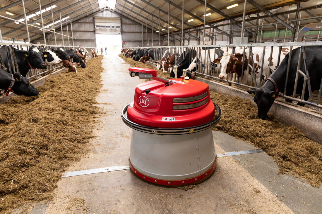 Lely Juno automaticky přihrnuje krmivo