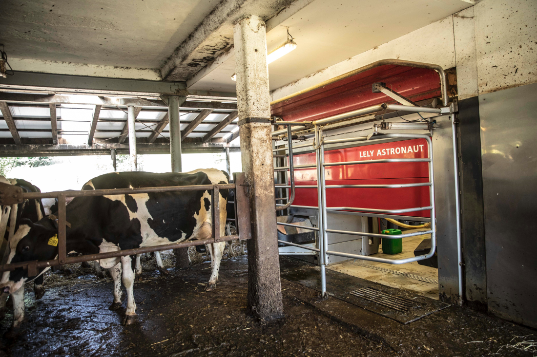 Lely Astronaut A4 – Střížov