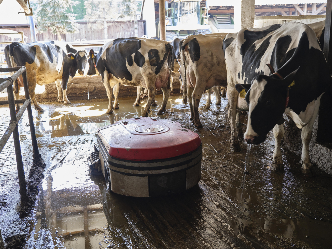 Farma Herot – robotická stáj