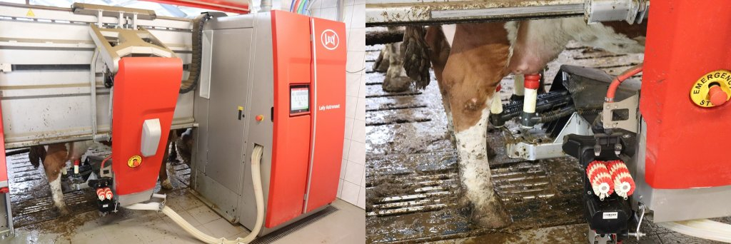 Farma Horáčkových, Lhoty u Potštejna – nová robotická stáj