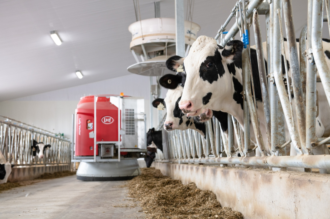 Lely Vector MFR Next – automatické krmení