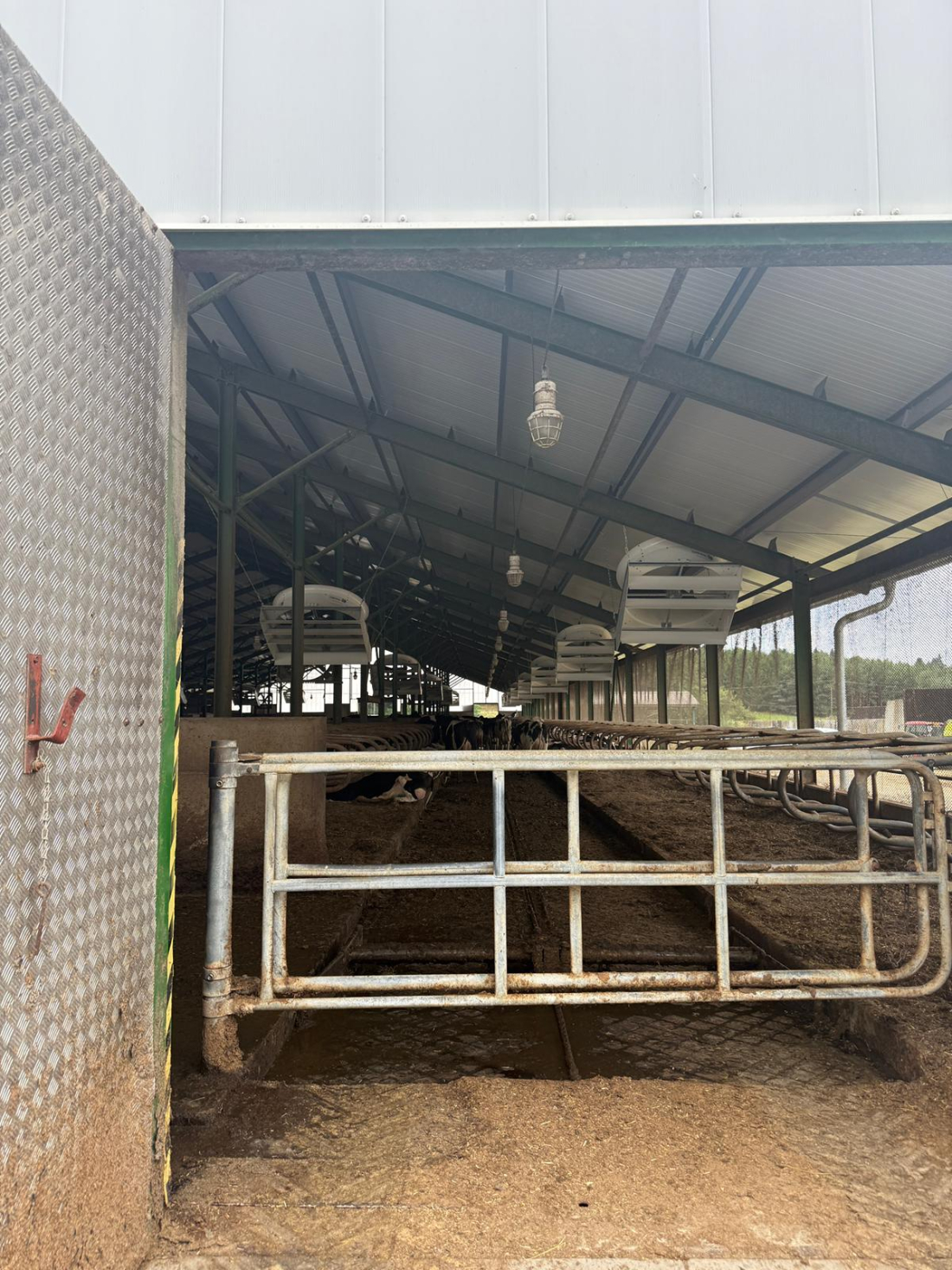 ZD Křižanovsko – stáj a ventilace