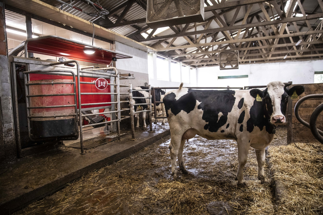 Farma Číhaň – robotická stáj
