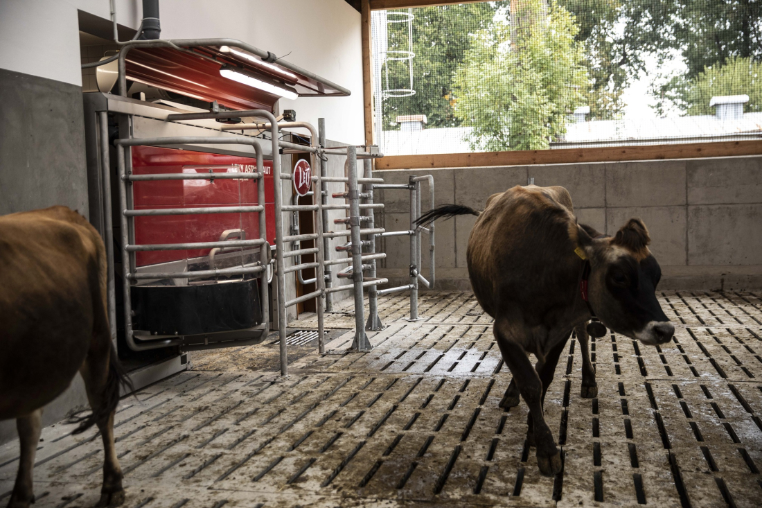 Lely Astronaut A5 – SOŠ a SOU Horšovský Týn