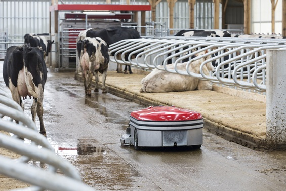 Automatizovaná mléčná farma