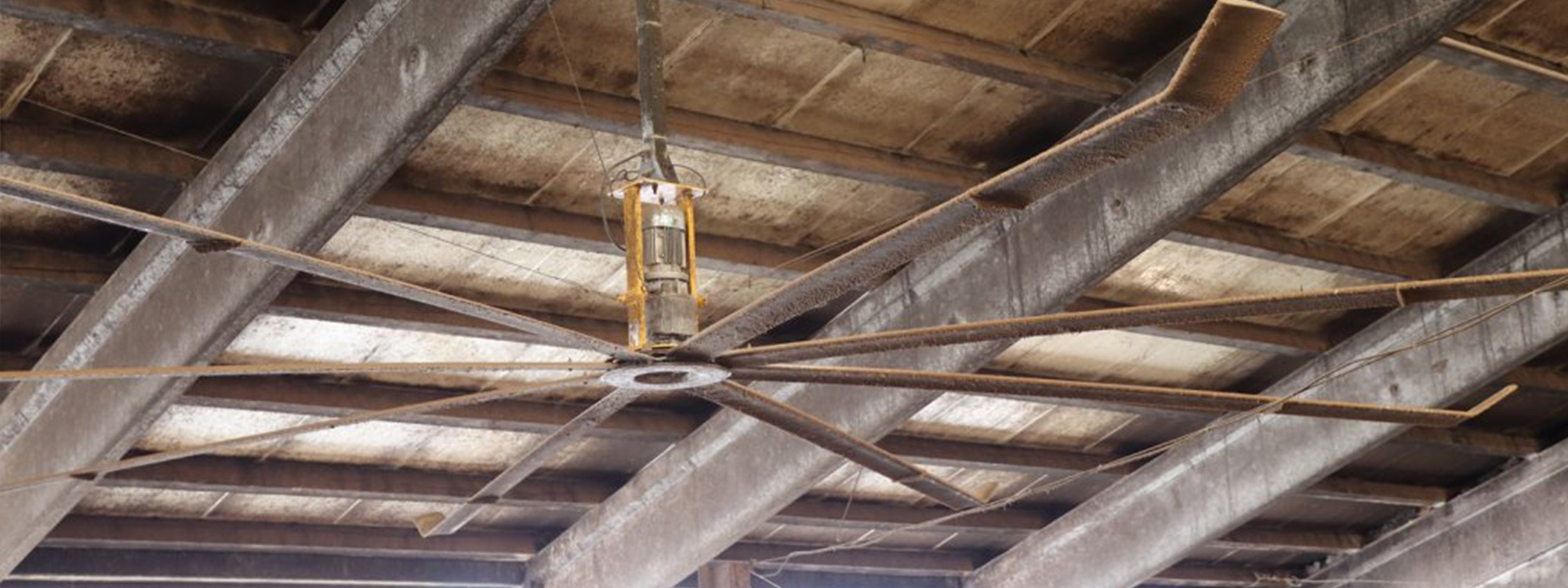 Stáj s přirozeným světlem a ventilací, DV Liber