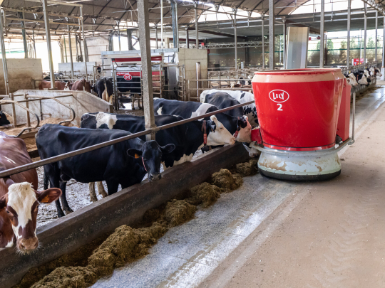 Dairy XL, nebo-li automatizace velkých farem