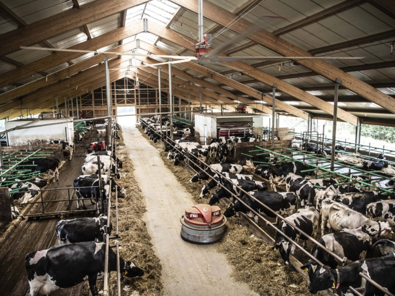 AGROSEV Červená Řečice – robotická stáj